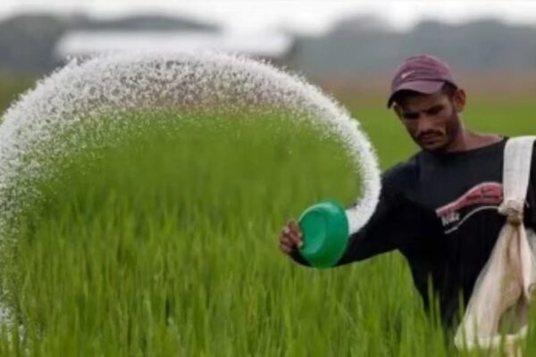 Nitrous oxide emissions India