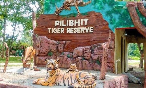 Pilibhit Tiger Reserve biosphere reserve
