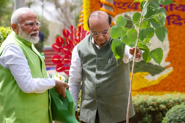 Tree plantation campaign