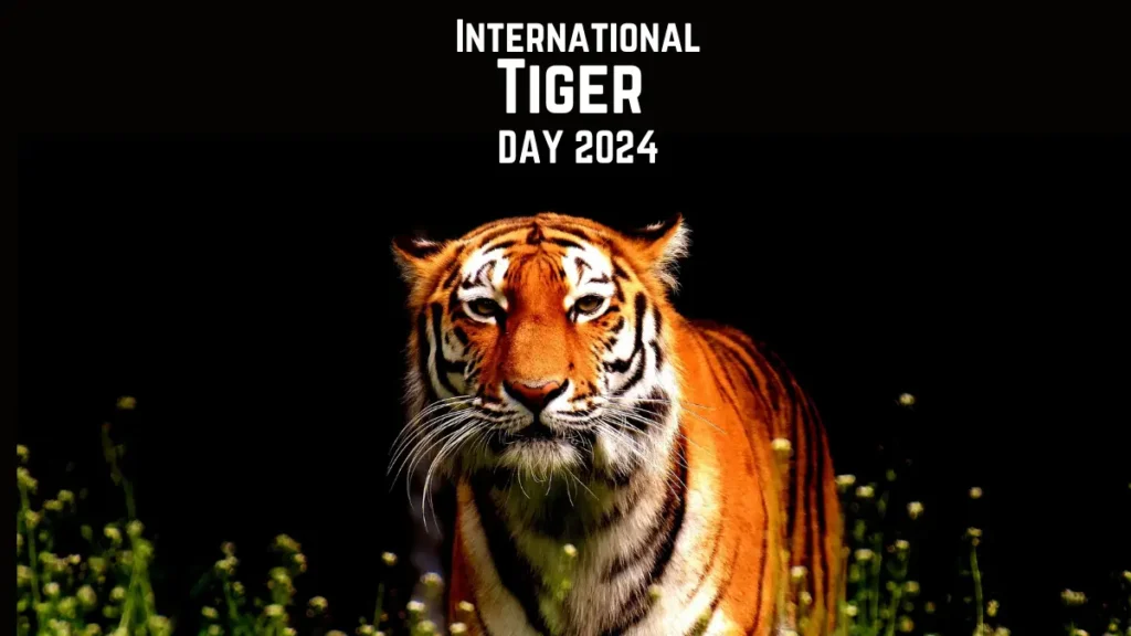 International Tiger Day 2024 significance
