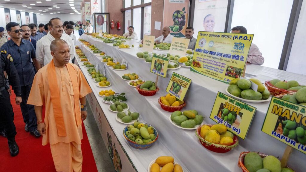 Uttar Pradesh Mango Festival