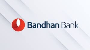 AVNI Savings Account Bandhan Bank