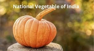 National Vegetable of India pumpkin
