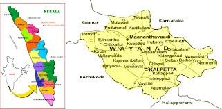 Wayanad district literacy rate
