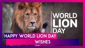 World Lion Day significance