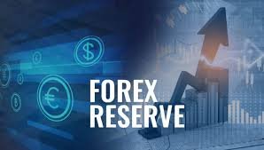 India foreign exchange reserves 2024
