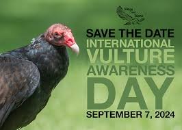 International Vulture Awareness Day 2024
