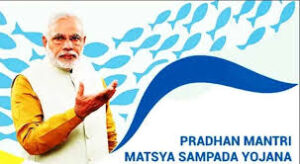 Pradhan Mantri Matsya Sampada Yojana achievements