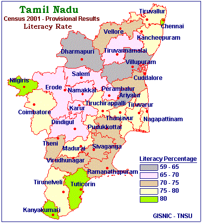 Tamil Nadu literacy rate disparities
