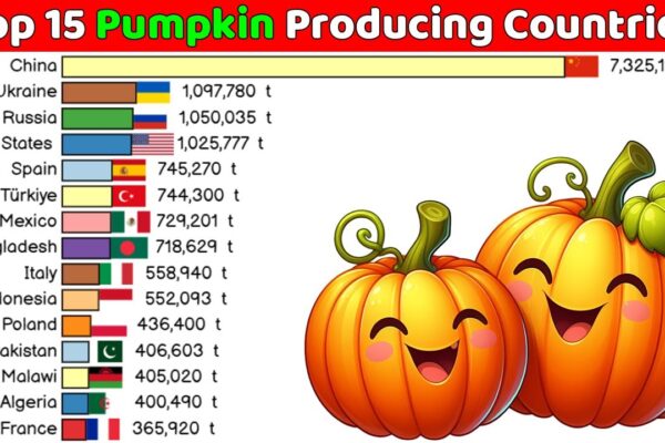 Top pumpkin-producing countries