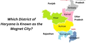 Magnet City significance for students