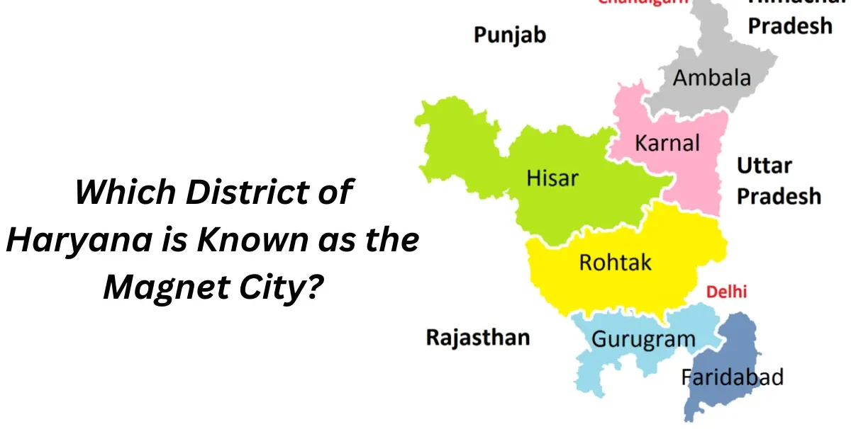 Magnet City significance for students