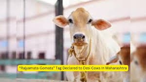 Rajyamata Gomata tag for desi cows