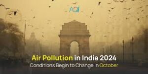 Air pollution in India 2024