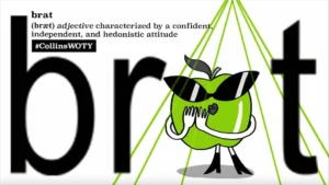 Collins Dictionary Word of the Year 2024