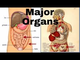 Importance of skin health
