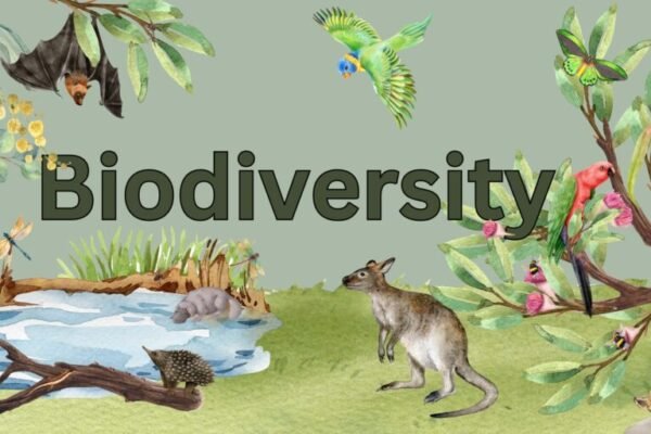 India biodiversity conservation initiative