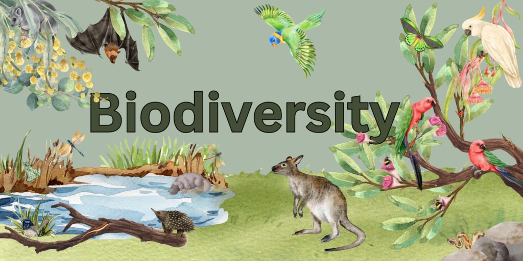 India biodiversity conservation initiative