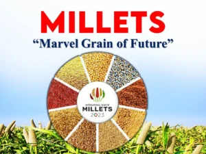 Largest millet producing state in India