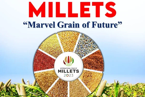 Largest millet producing state in India