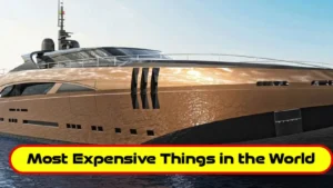 Most expensive luxury items in the world