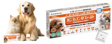 Pinfenon patent for heart disease in dogs