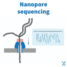 STRONG nanopore sequencing technology STRONG nanopore sequencing technology