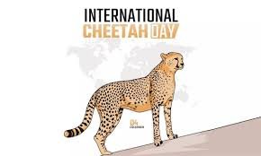 International Cheetah Day celebration