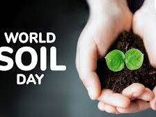 World Soil Day 2024 theme
