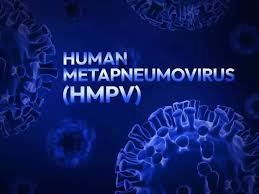 HMPV isolation guidelines for patients
