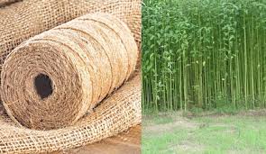 MSP hike for jute farmers India
