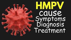 Symptoms and transmission of HMPV virus