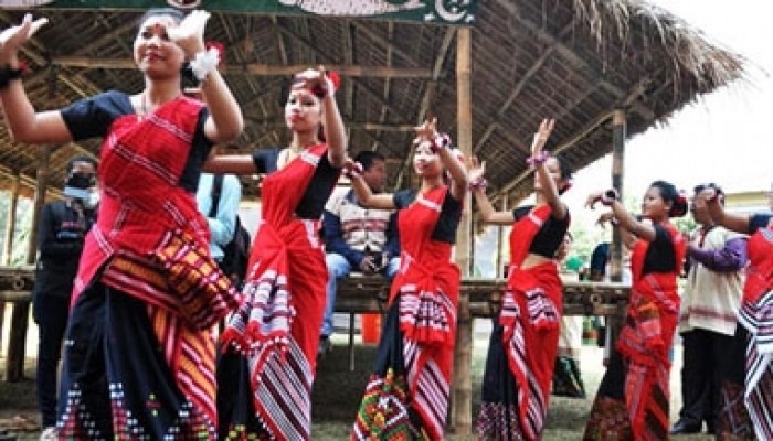 Ali Ai Ligang Festival Assam
