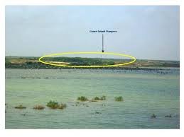 Gujarat first biodiversity heritage site