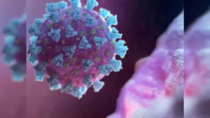 New bat coronavirus China