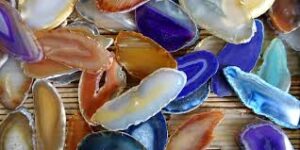 community support for small businesses survival