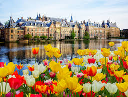 Netherlands tulip industry
