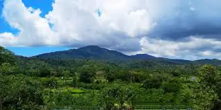 Saddle Peak: Highest Peak in Andaman & Nicobar – Location, Trek, and Ecology World