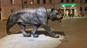 oslo city of tigers