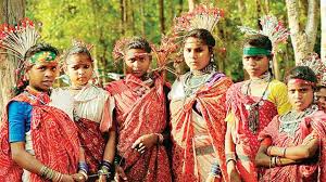 tribal land rights india