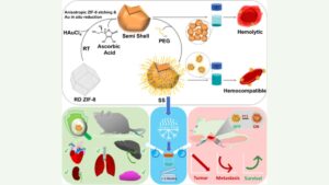 nano-cups in cancer therapy