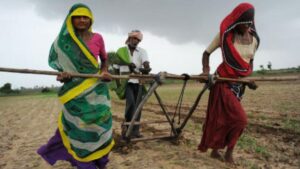 NABARD chilli turmeric training