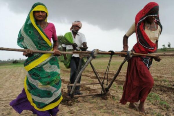 NABARD chilli turmeric training