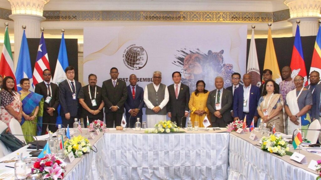 International Big Cat Alliance