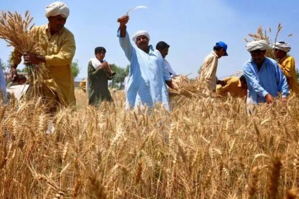 PM Dhan-Dhaanya Krishi Yojana 2025