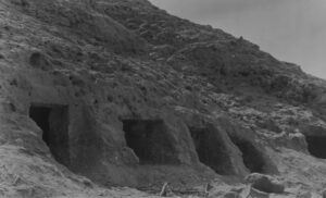 ancient egyptian genome study