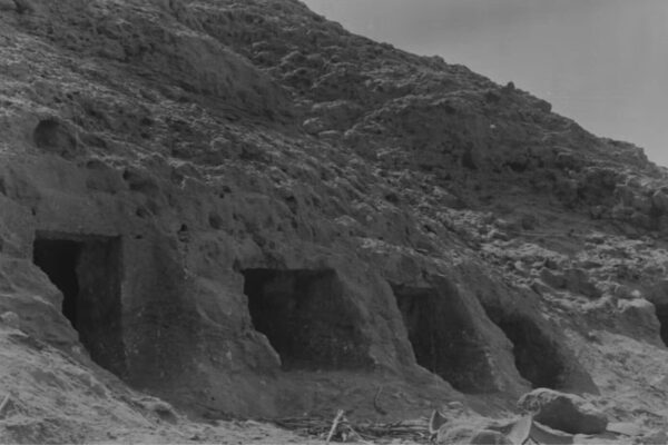 ancient egyptian genome study