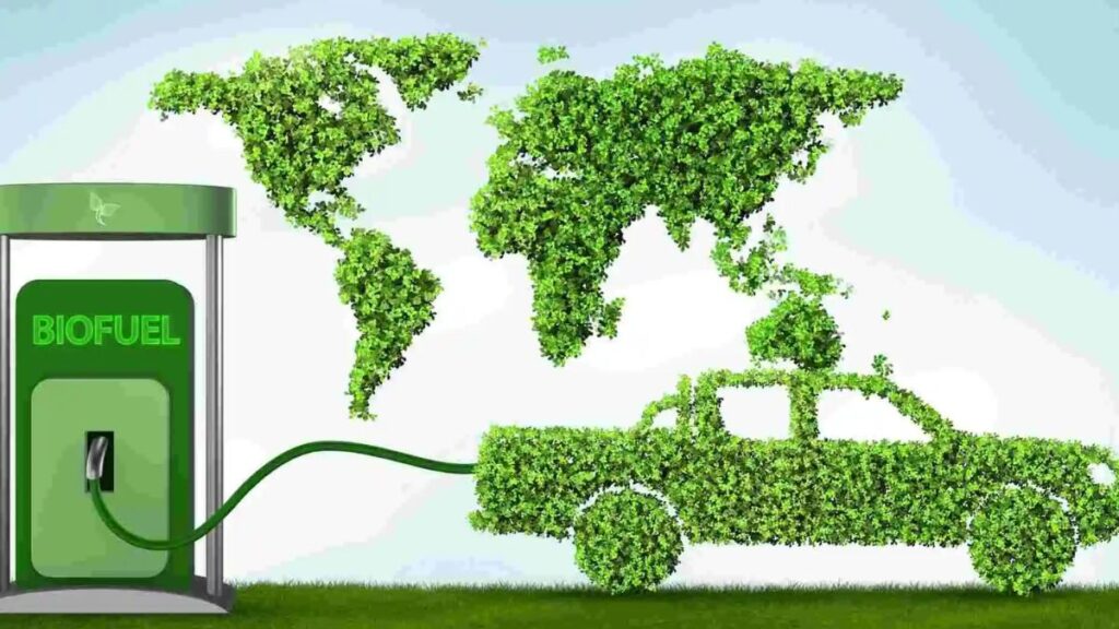 India biofuel consumption 2024