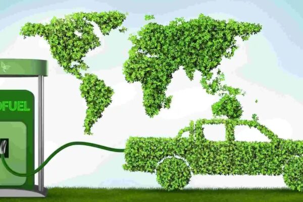 India biofuel consumption 2024