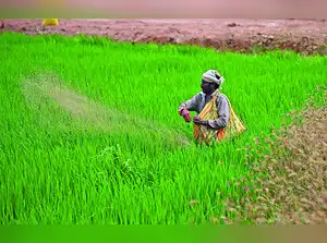 India Saudi DAP agreement